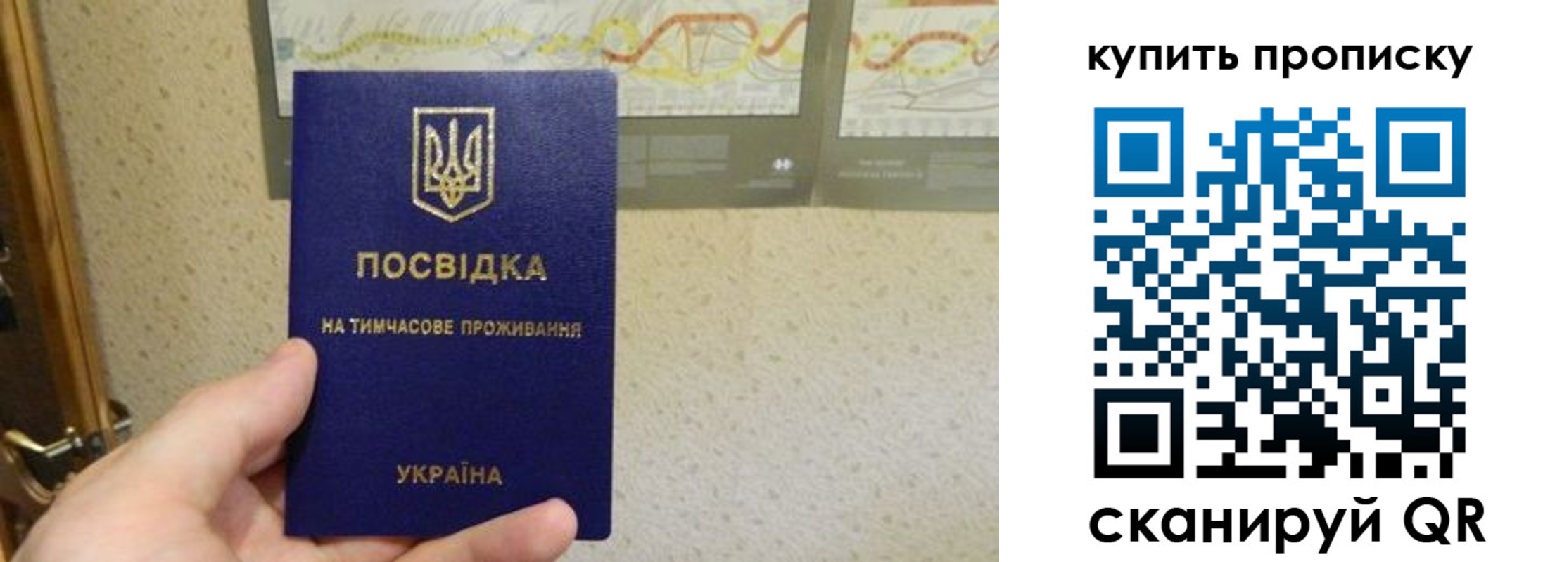 временная регистрация поиск в Чапаевске
